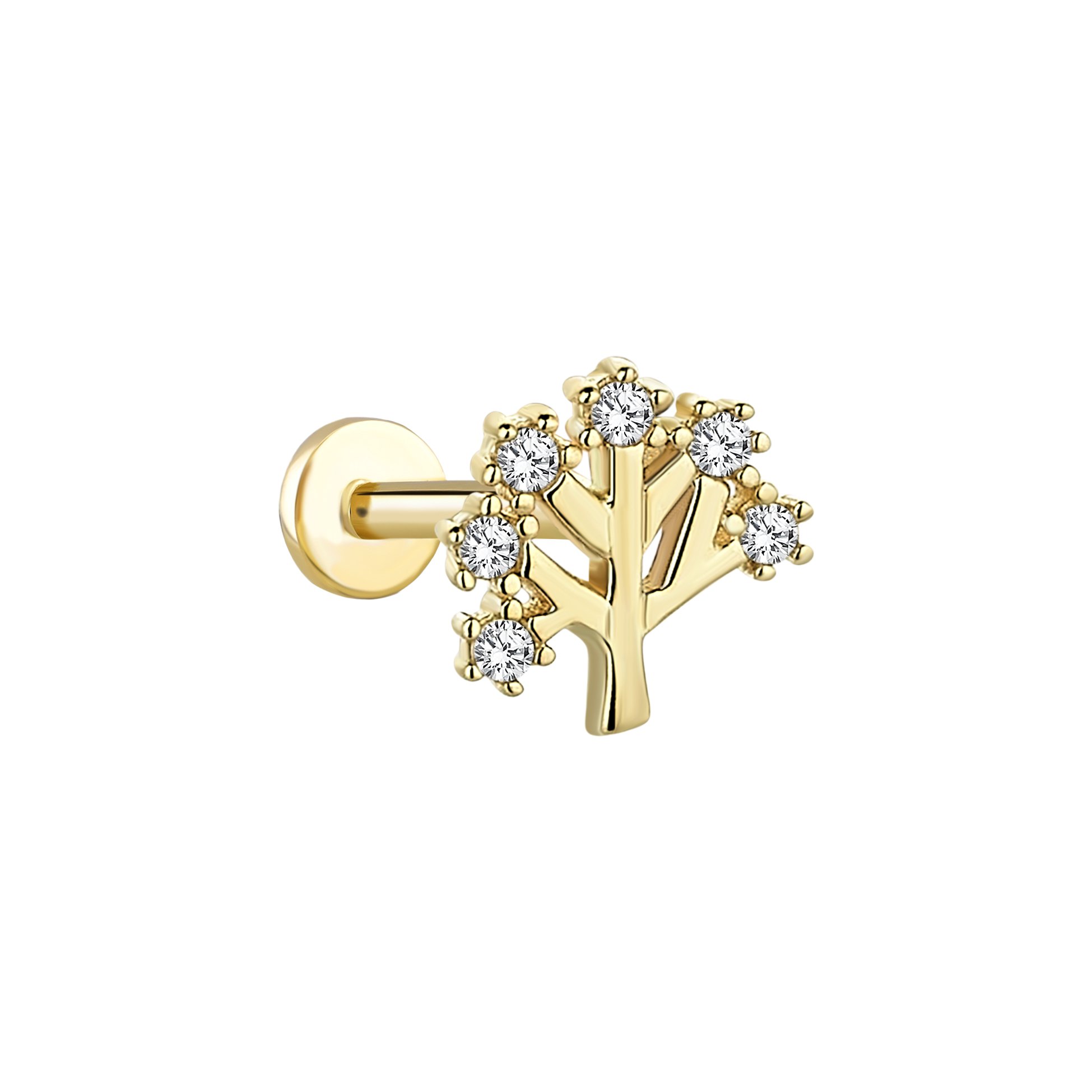Taşlı Ağaç Tragus Piercing