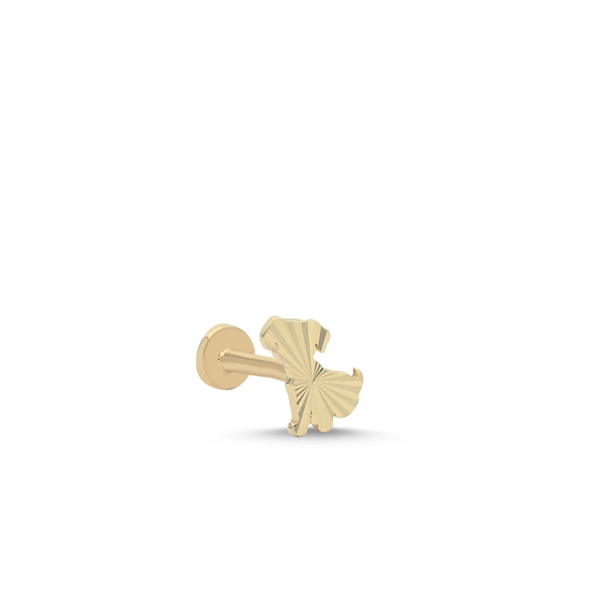 Kalemli Köpek Tragus Piercing