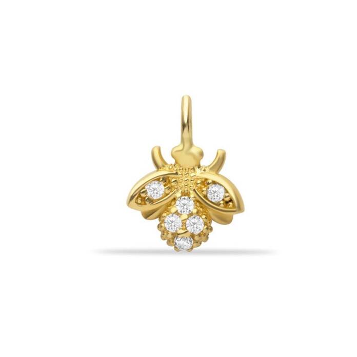 Arı Charm - 1