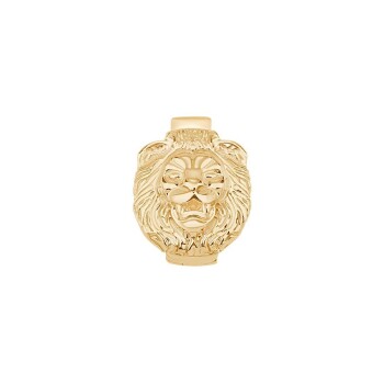 Aslan Charm - 1