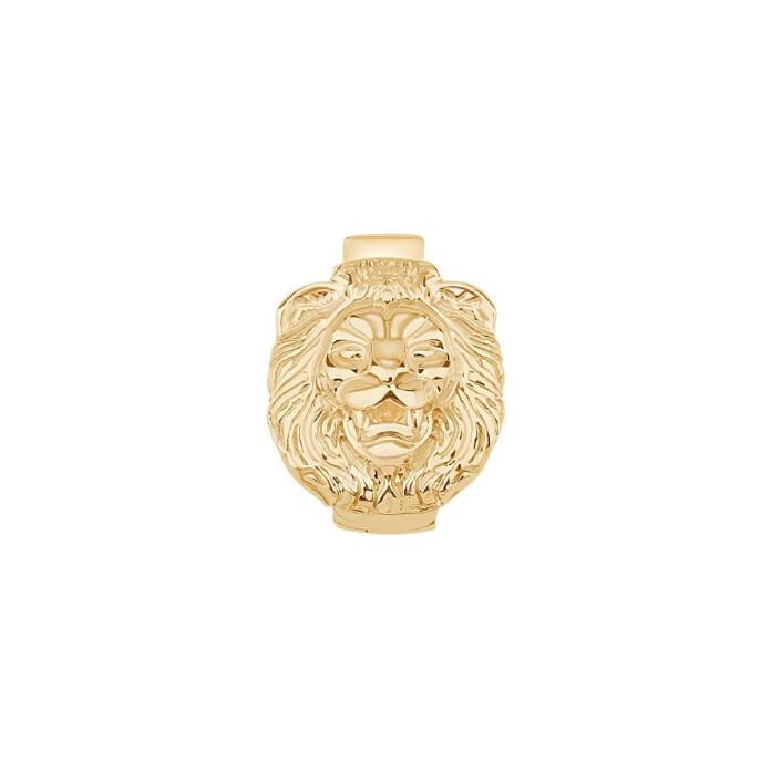 Aslan Charm - 1