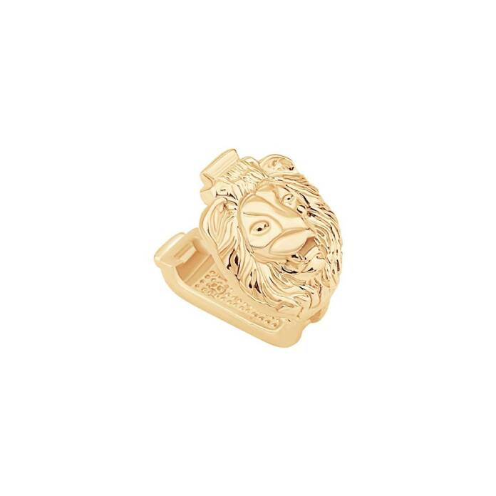 Aslan Charm - 2