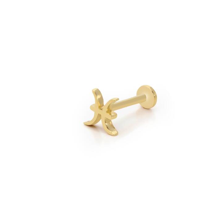 Balık Burç Tragus Piercing - 1