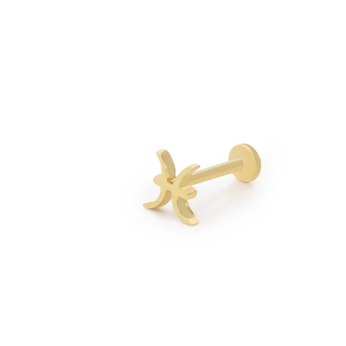 Balık Burç Tragus Piercing - 2