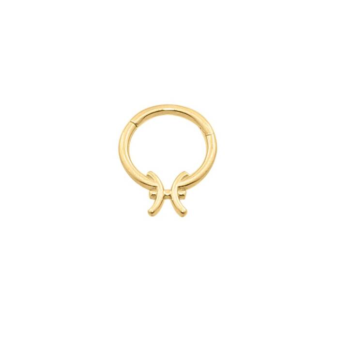 Balık Burcu Halka Helix Piercing - 1