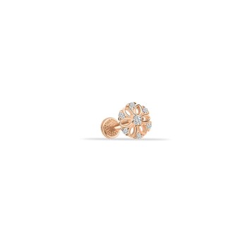 Daisy Bia Tragus - 1