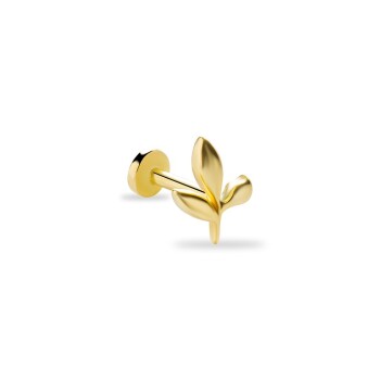 Dal Tragus - 1