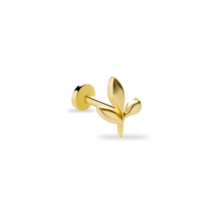 Dal Tragus - 1
