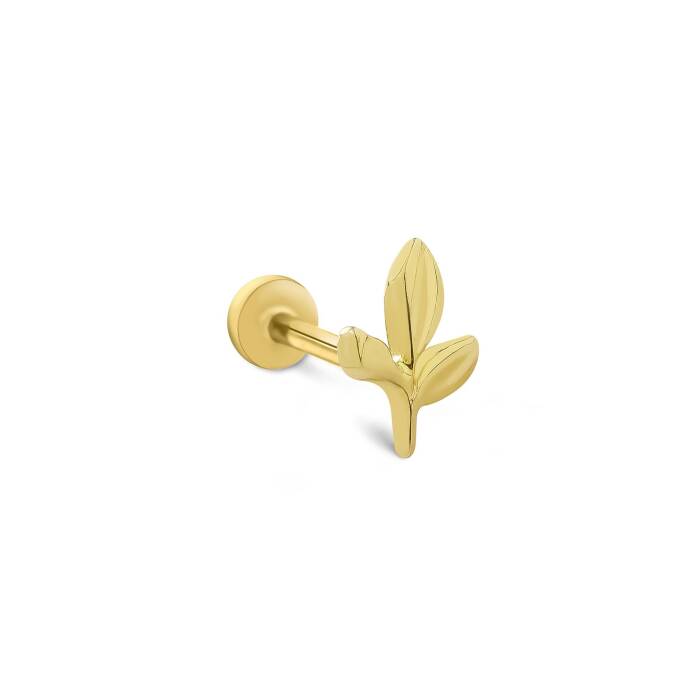 Dal Tragus - 2