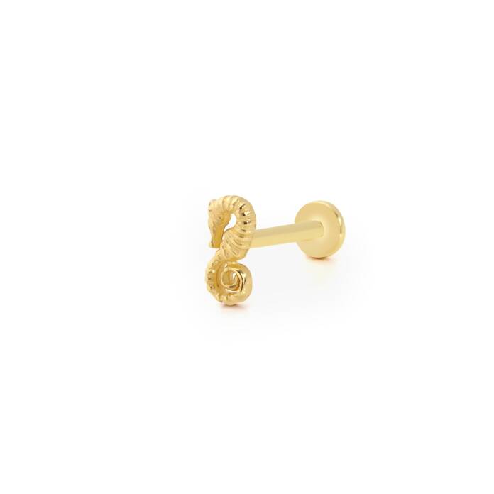 Denizatı Figür Tragus Piercing - 1