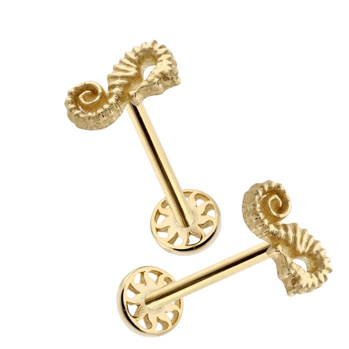 Denizatı Figür Tragus Piercing - 2