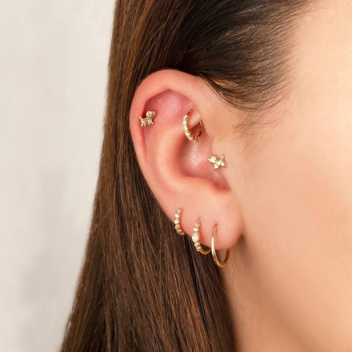 Dog Tragus Piercing - 2