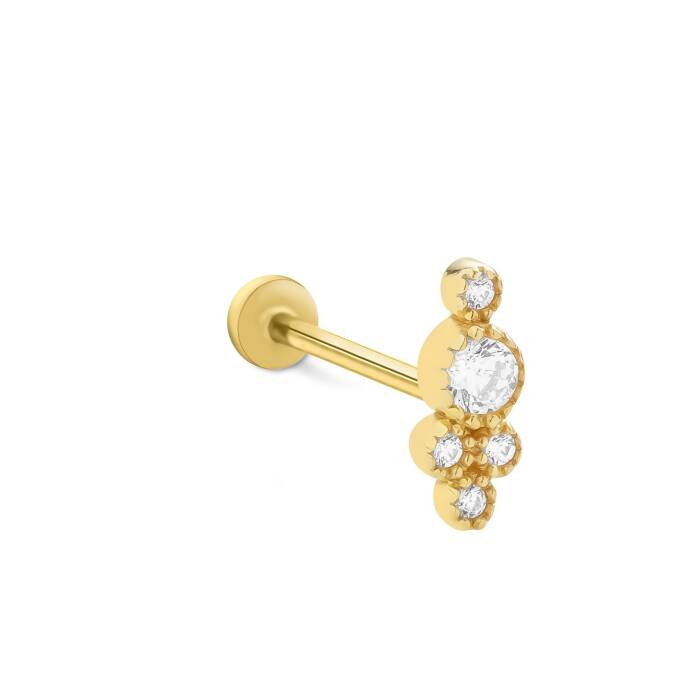 Elegant Tragus - 1