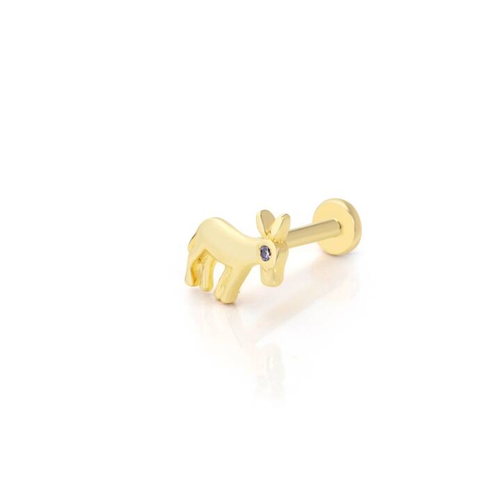 Eşek Tragus Piercing - 1