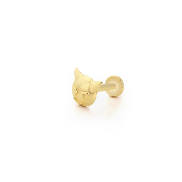 Evil Tragus Piercing - 1