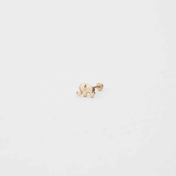 Fil Tragus - 1