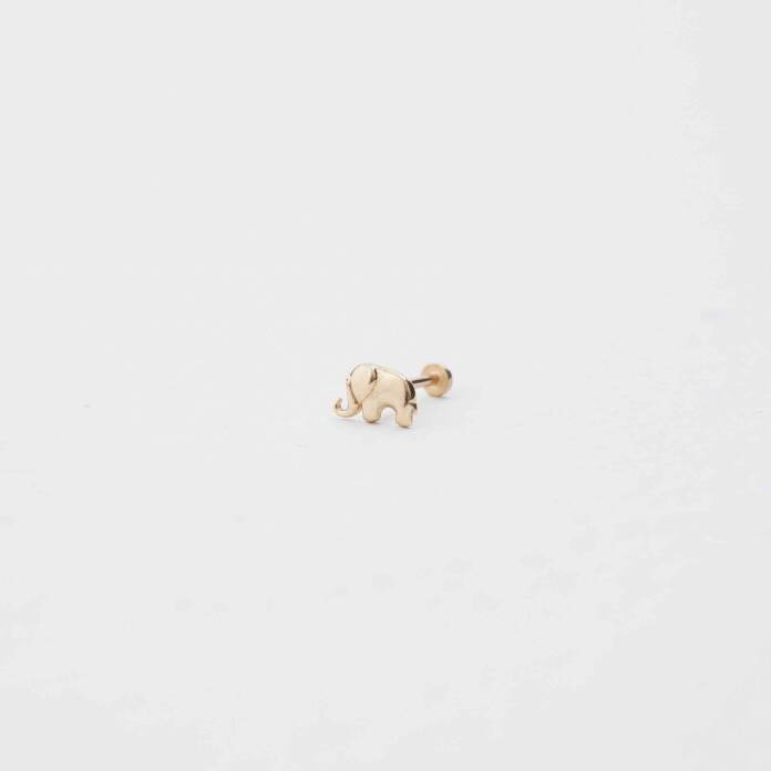 Fil Tragus - 1