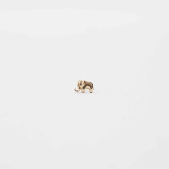 Fil Tragus - 2