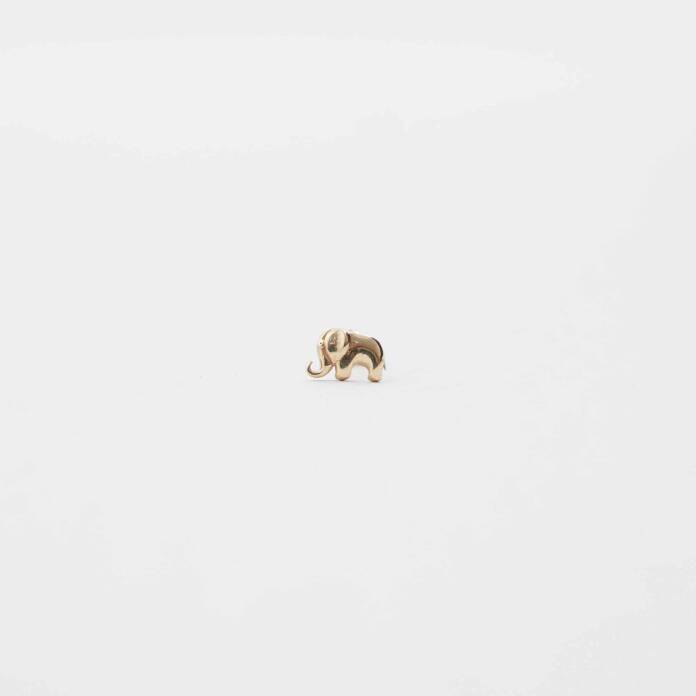Fil Tragus - 2
