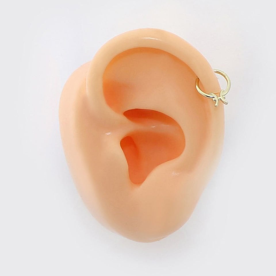 Balık Burcu Halka Helix Piercing