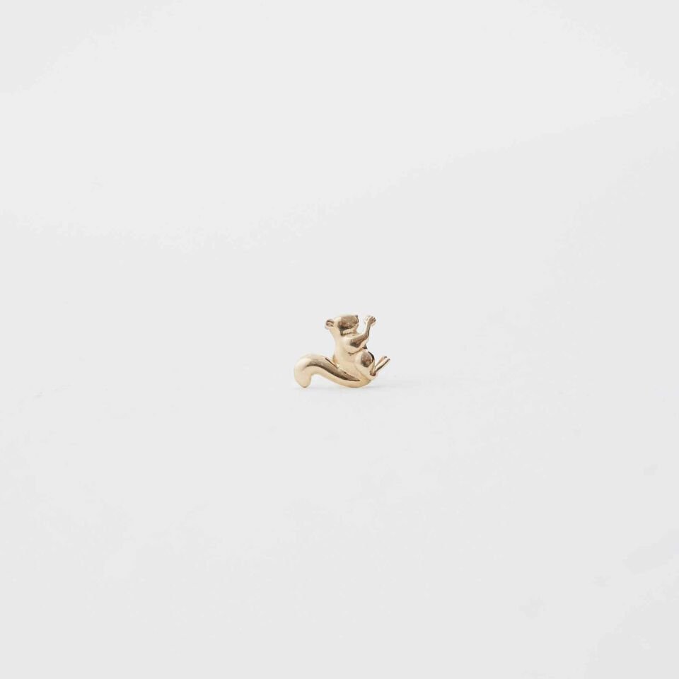 Sincap Tragus Piercing