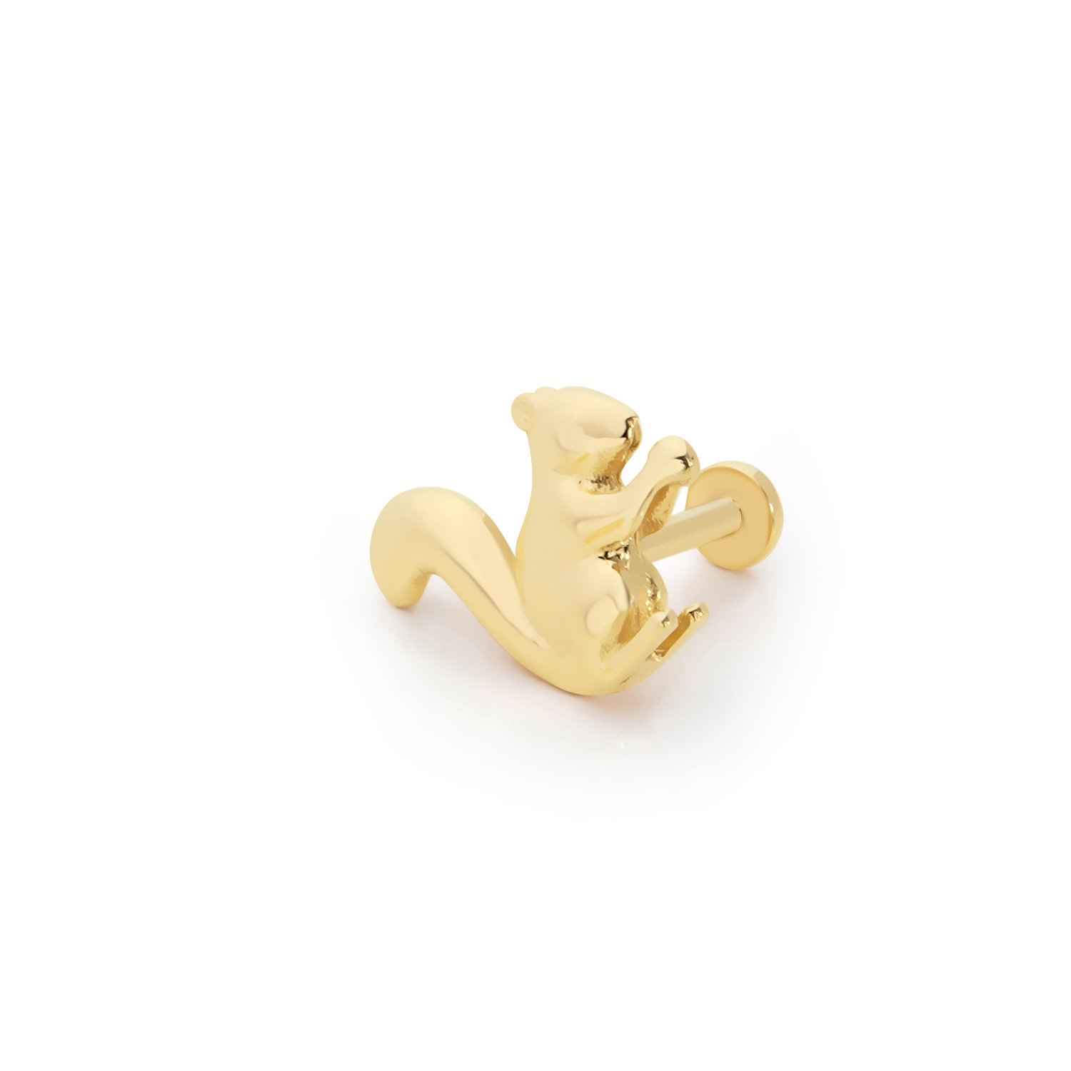 Sincap Tragus Piercing