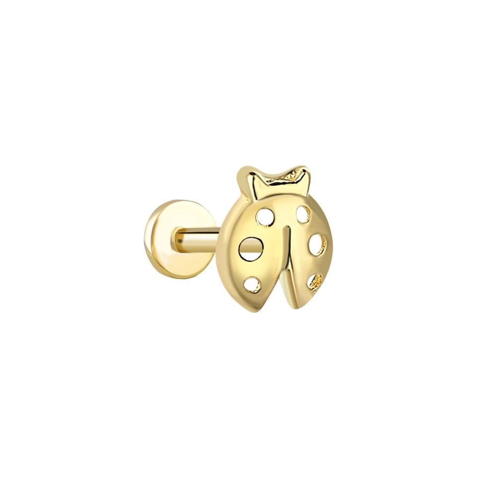 Uğur Böceği Tragus