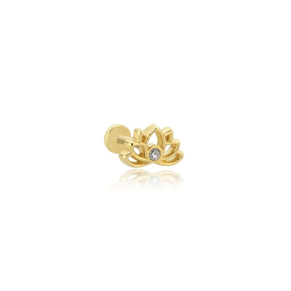 Tektaş Lotus Tragus