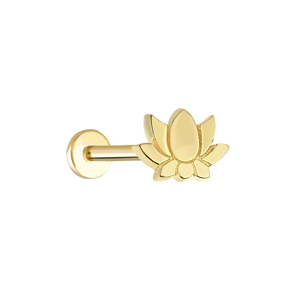 Detaylı Lotus Tragus