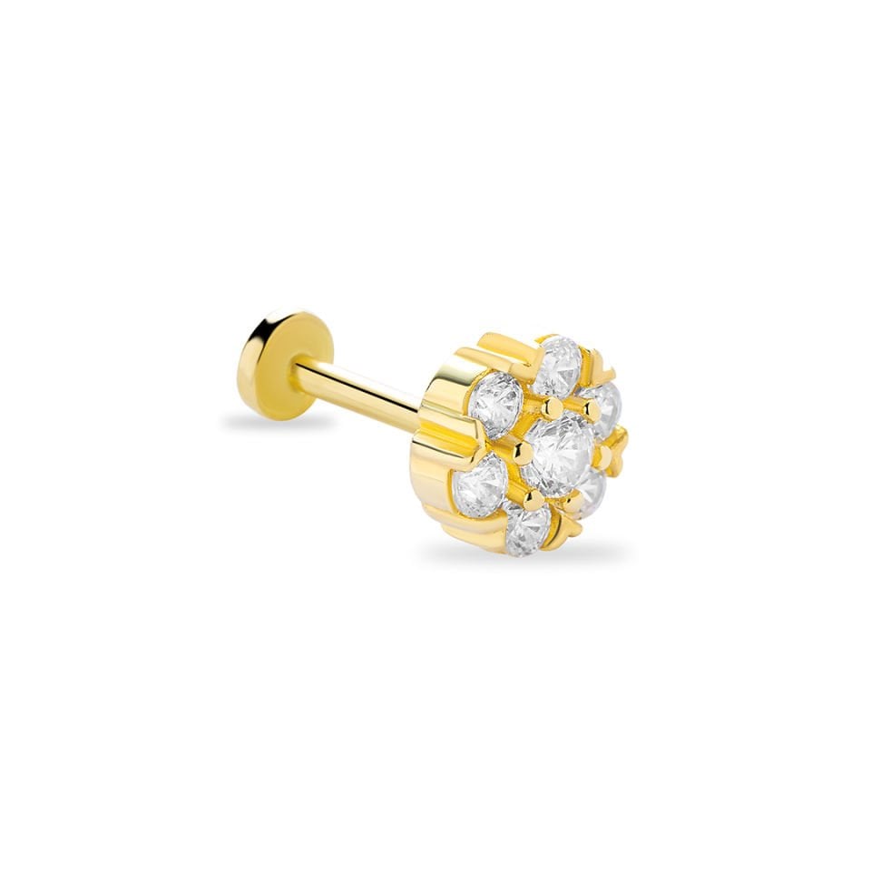 Samilis Tragus