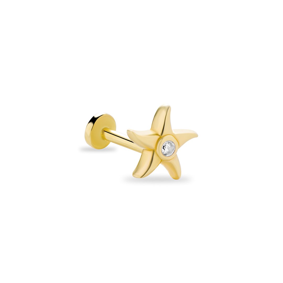 Deniz Yıldızı Tragus
