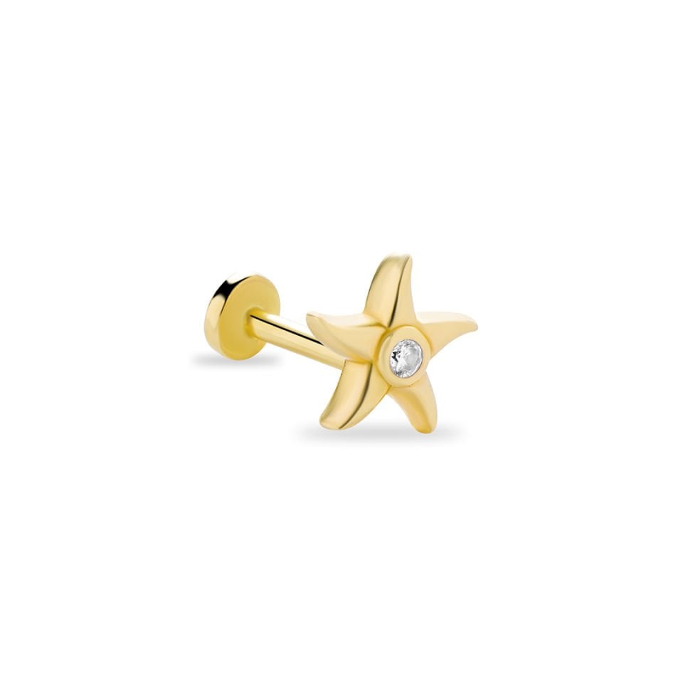 Deniz Yıldızı Tragus