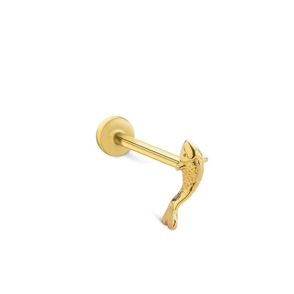 Small Balık Tragus