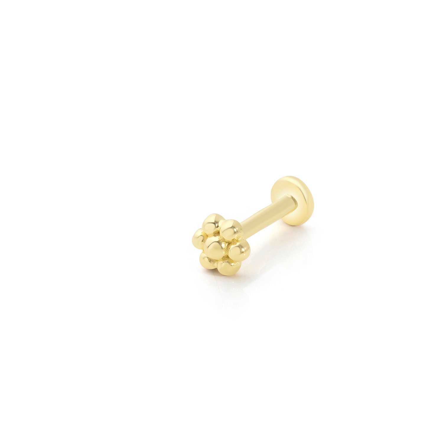 Madamme Çiçek Tragus Piercing