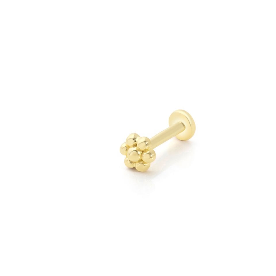 Madamme Çiçek Tragus Piercing