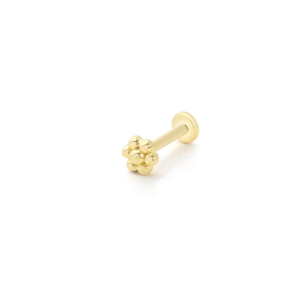 Papatya Model Tragus Piercing