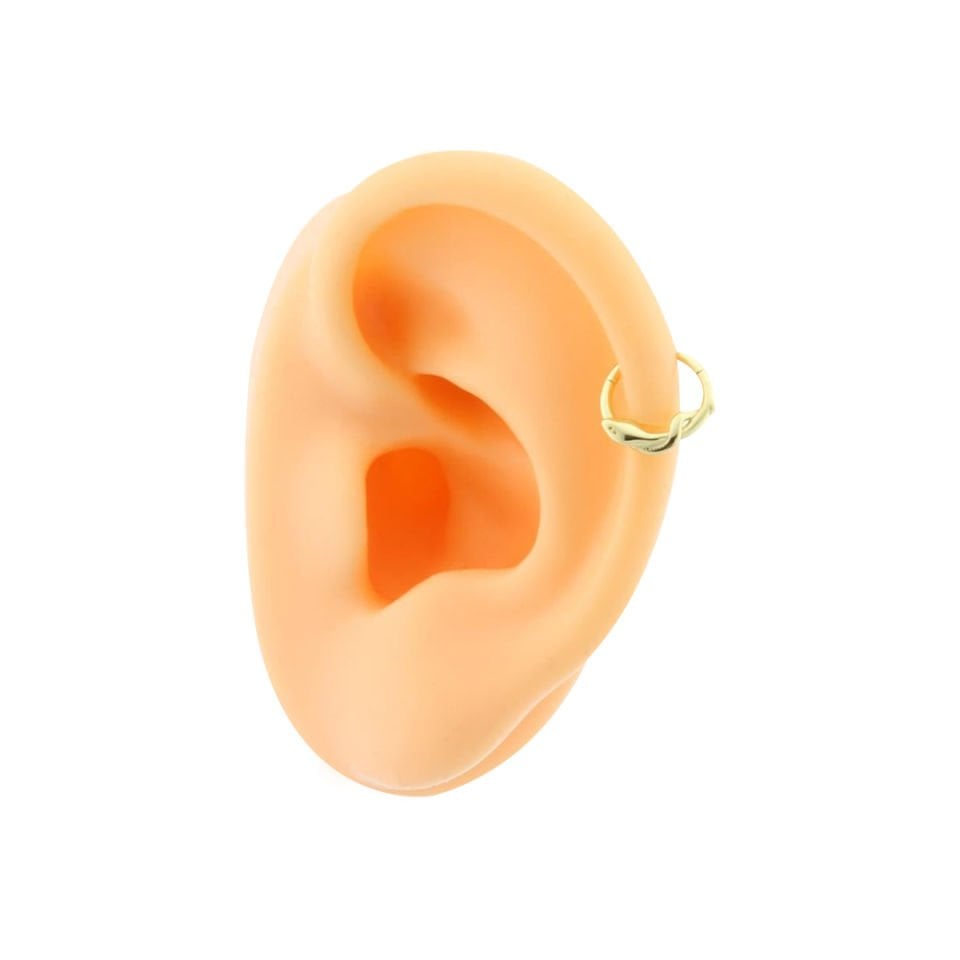 Yılan Motifli Helix Piercing