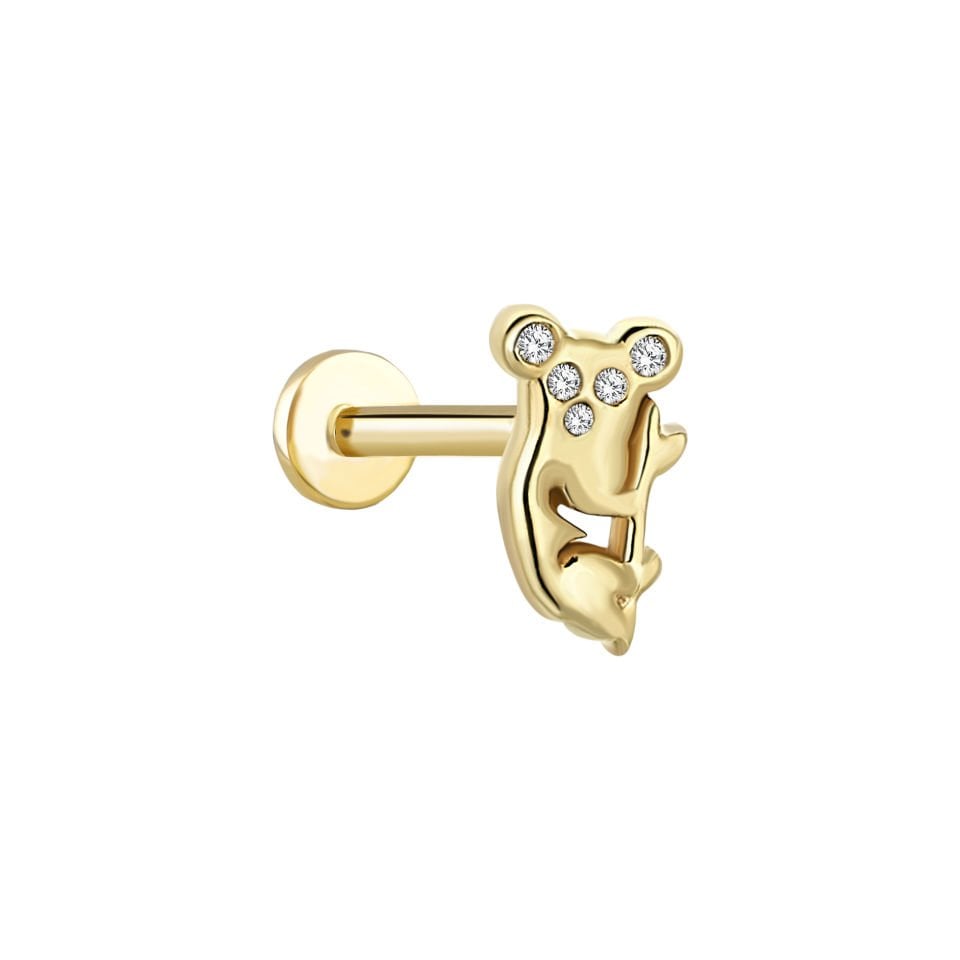 Koala Tragus Piercing