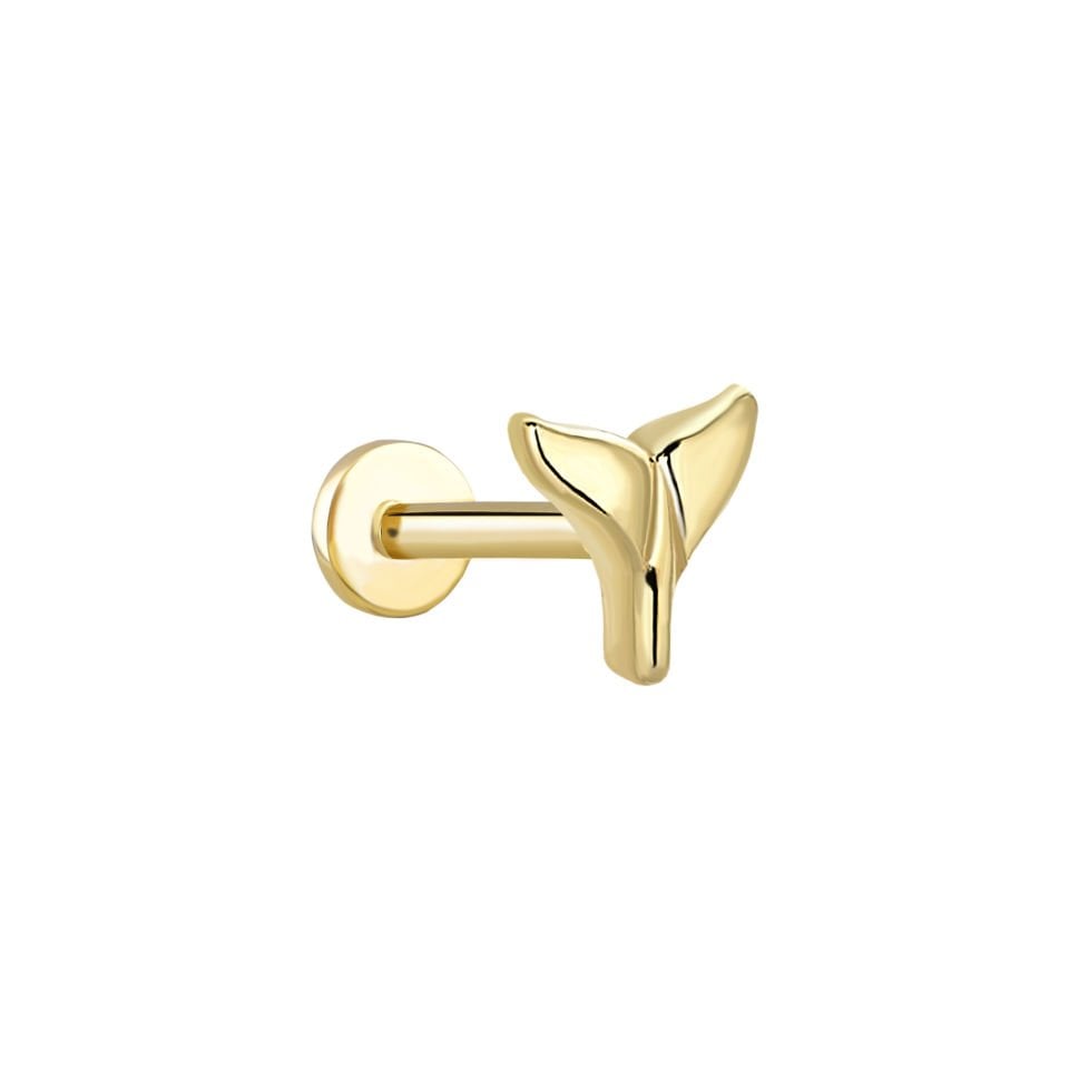 Balık Kuyruğu Tragus Piercing