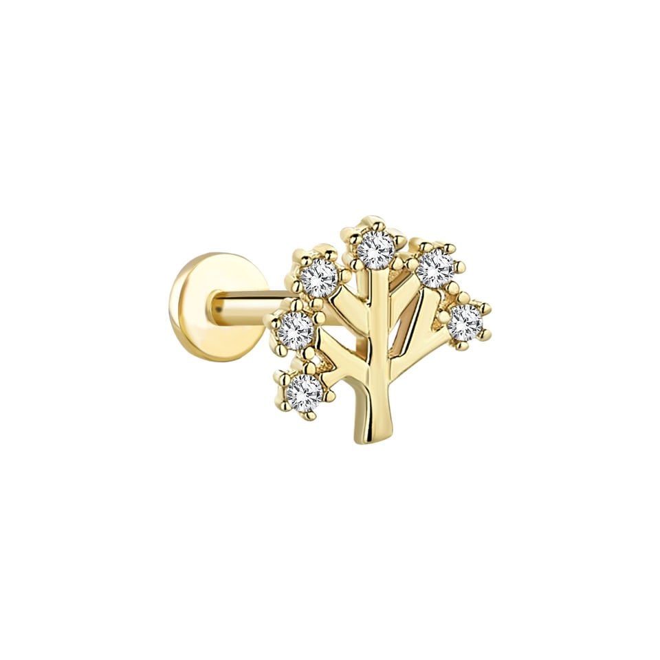 Taşlı Ağaç Tragus Piercing