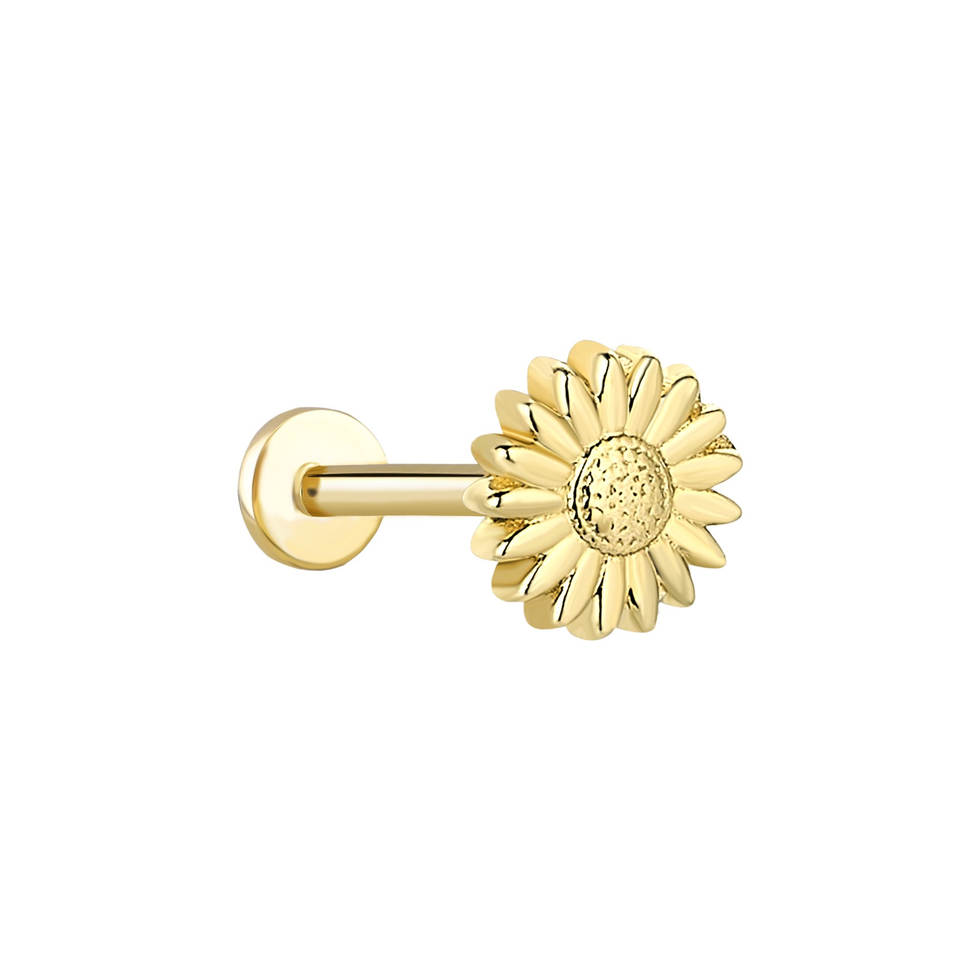 Ayçiçeği Tragus Piercing
