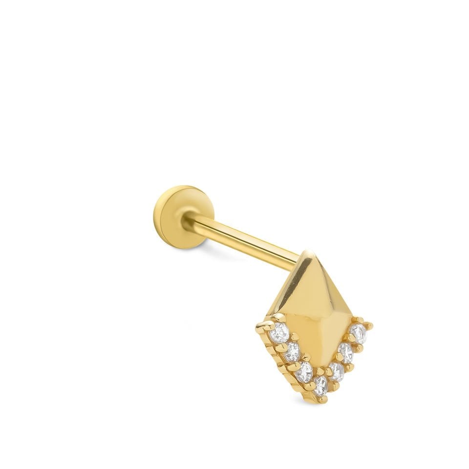 Vice Tragus