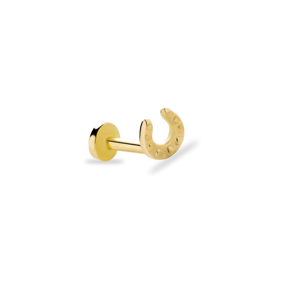 Nal Tragus Piercing