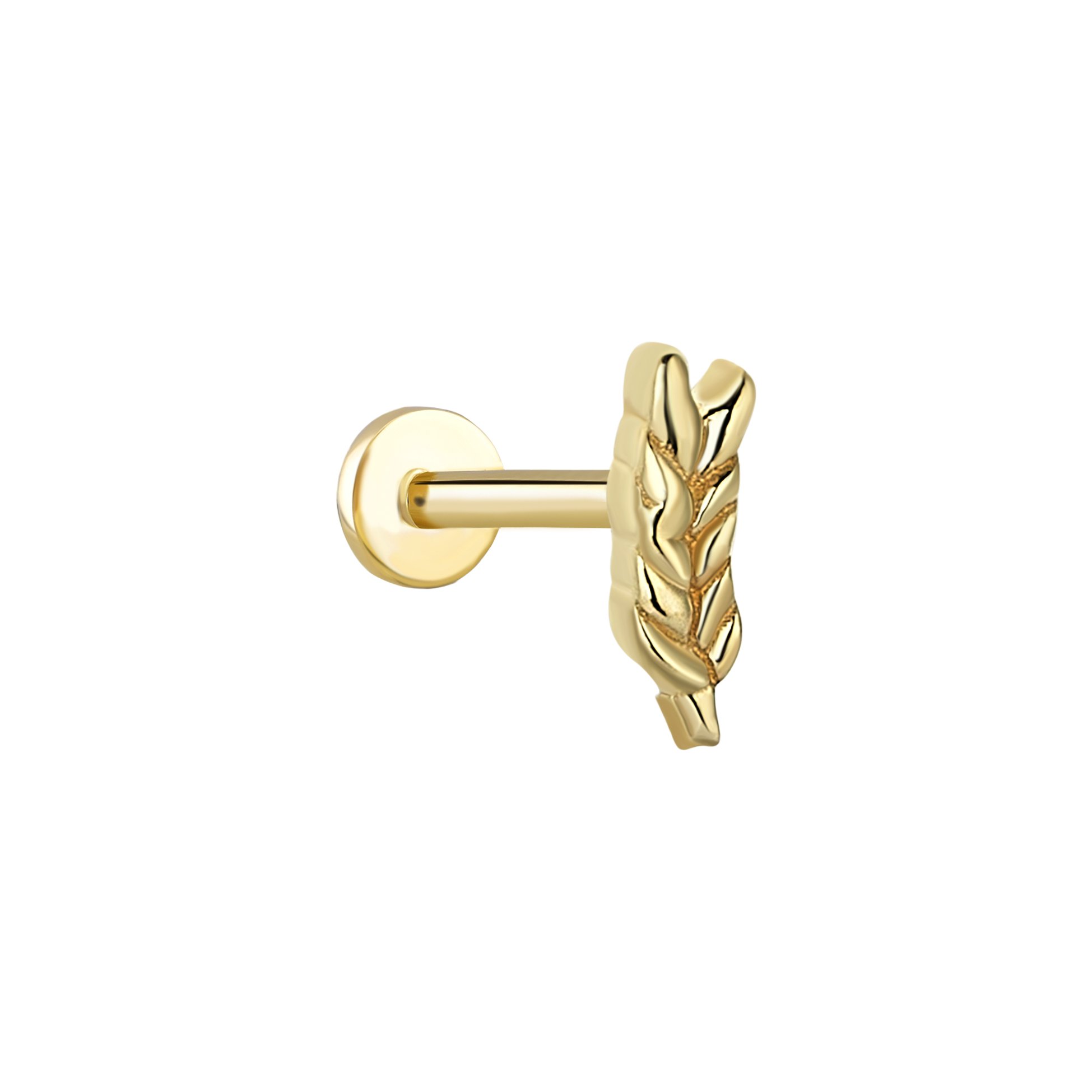 Başak Tragus Piercing