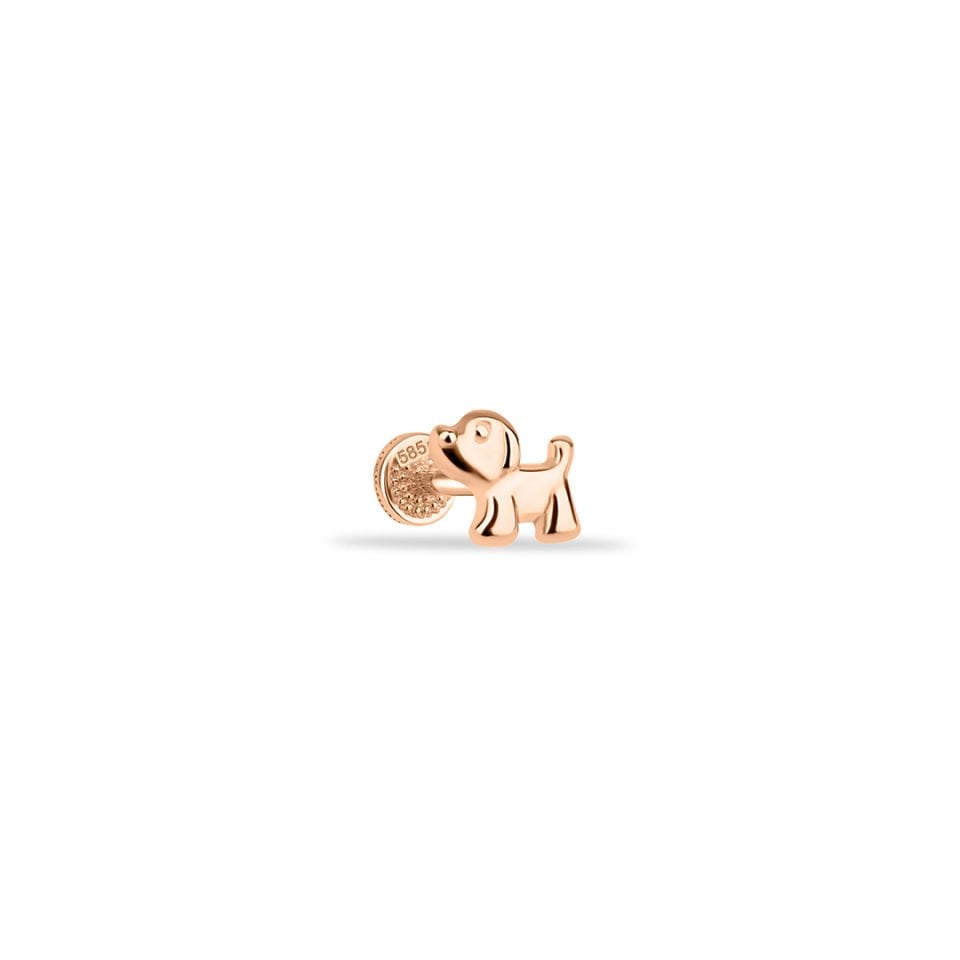 Dog Tragus Piercing