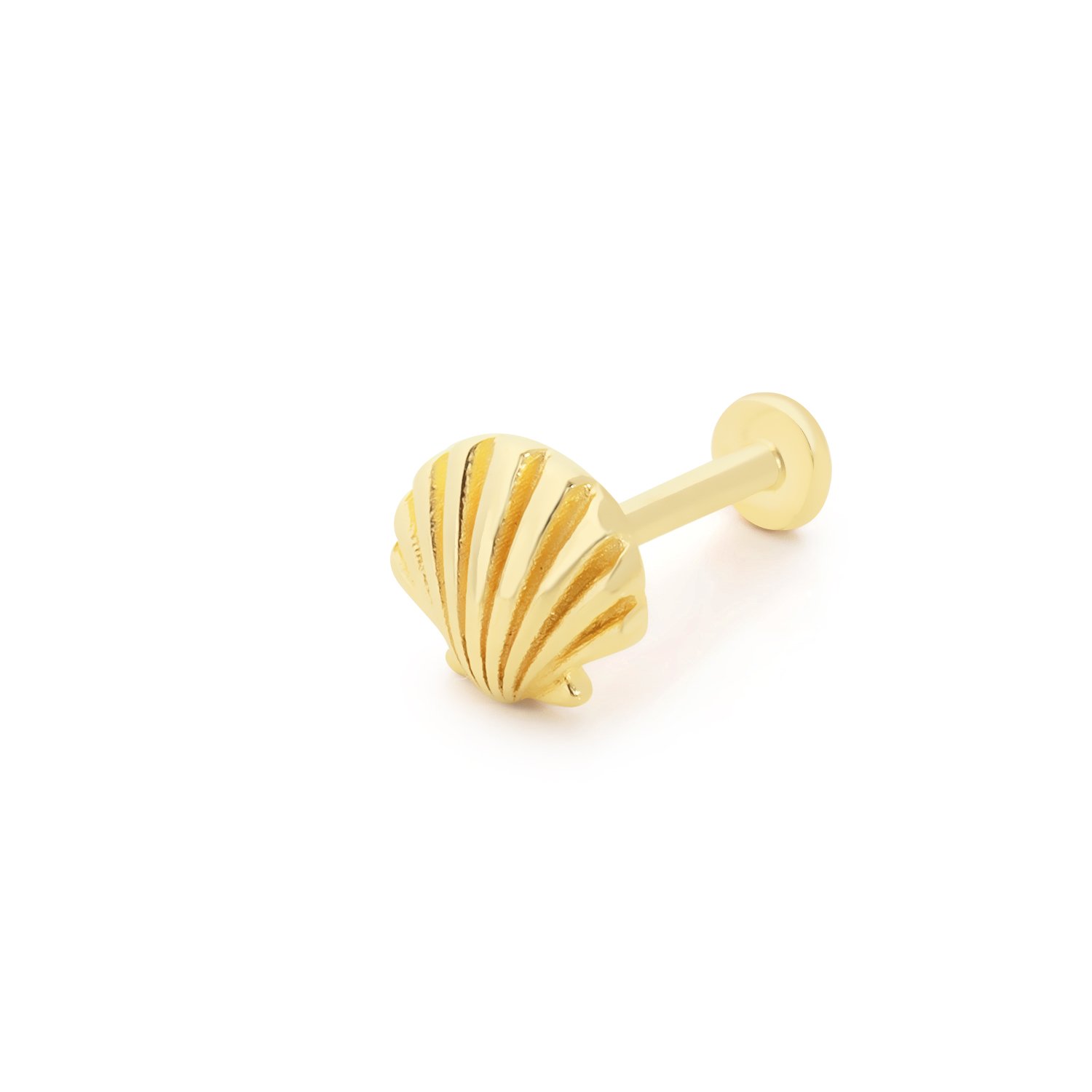 Shell Tragus Piercing
