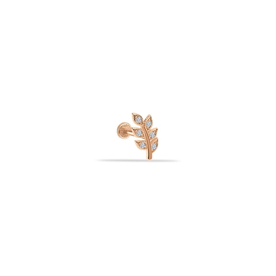 Zeytin Dalı Tragus Piercing