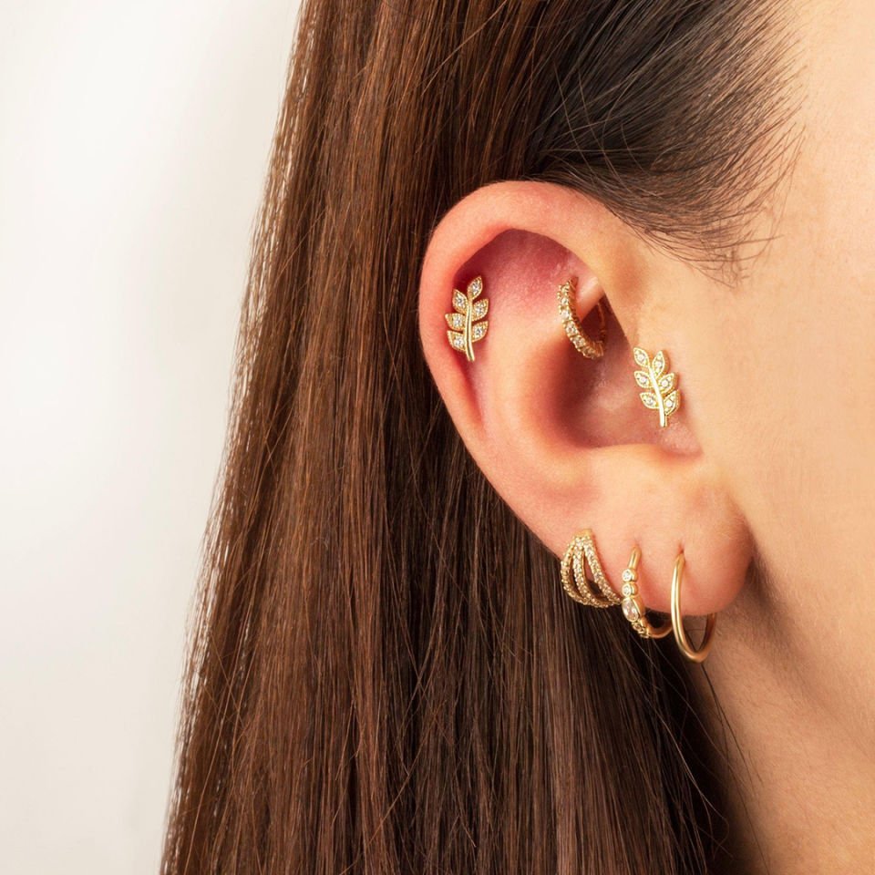 Zeytin Dalı Tragus Piercing