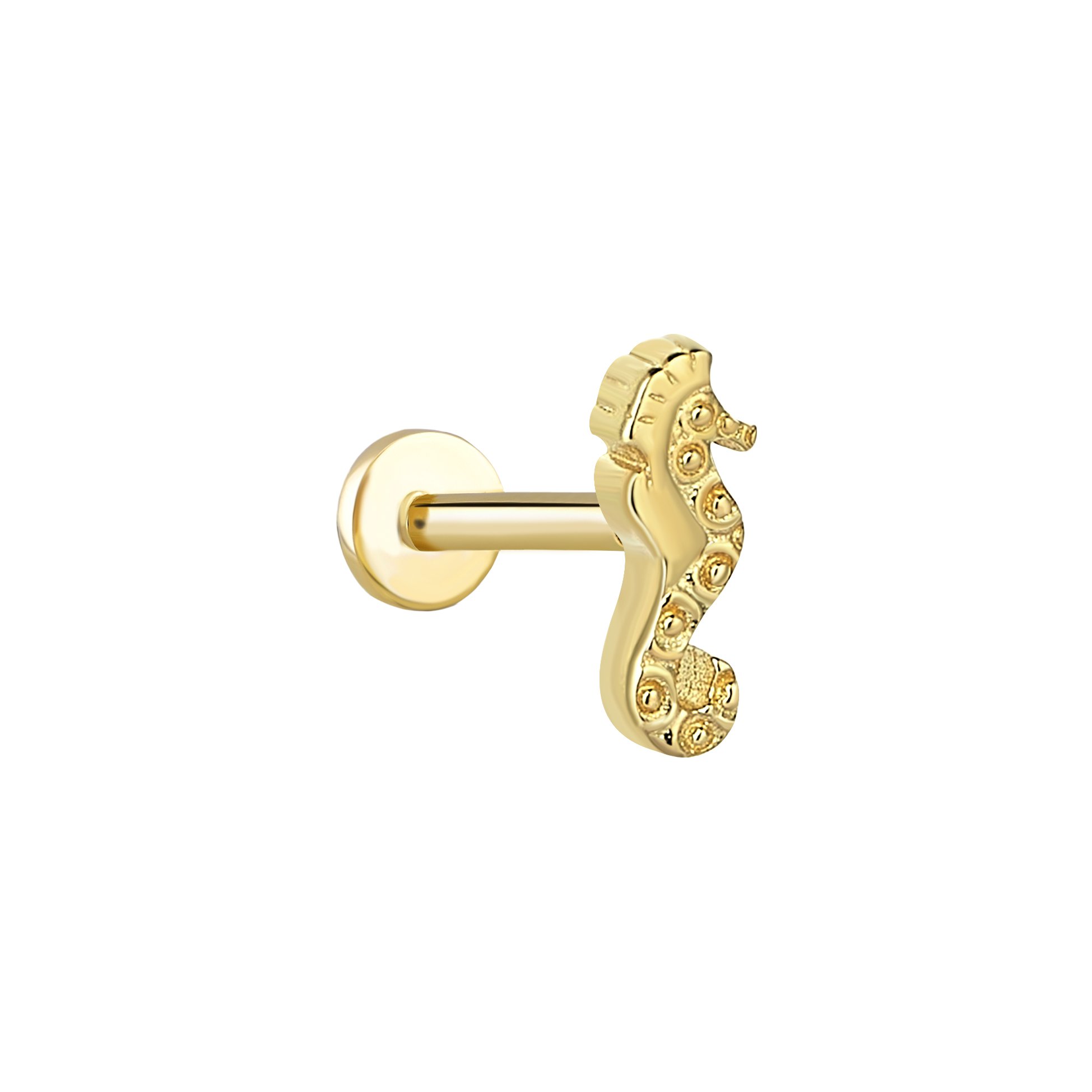Deniz Atı Tragus Piercing