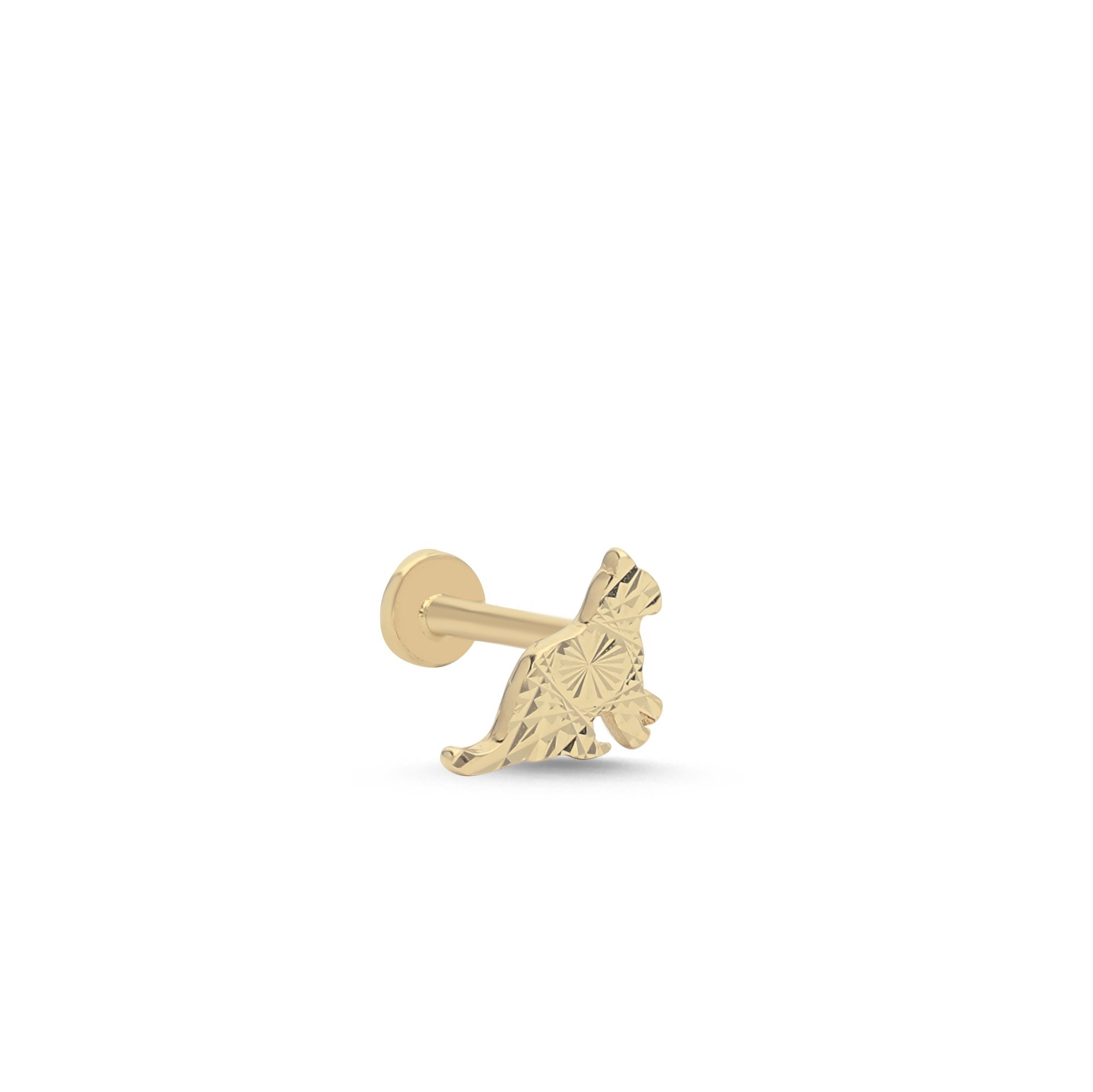 Düz Kedi Tragus Piercing
